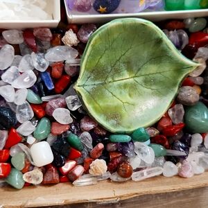 $5 crystal dollaar scoop